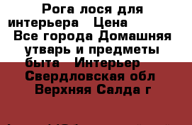 Рога лося для интерьера › Цена ­ 3 300 - Все города Домашняя утварь и предметы быта » Интерьер   . Свердловская обл.,Верхняя Салда г.